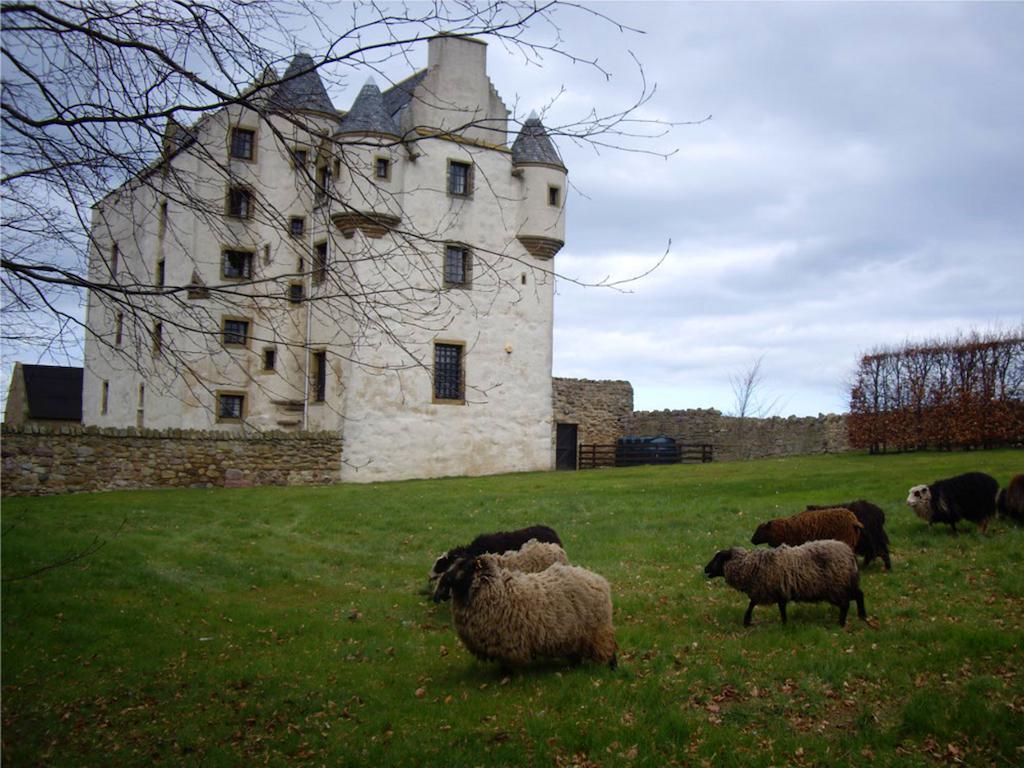 Faside Estate Bed & Breakfast Musselburgh Eksteriør bilde