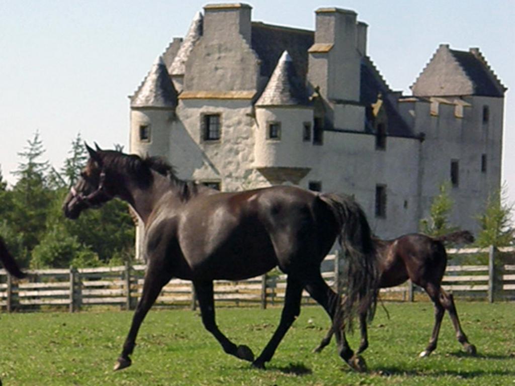 Faside Estate Bed & Breakfast Musselburgh Eksteriør bilde